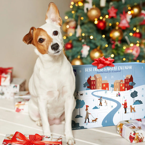 Advent Calendar