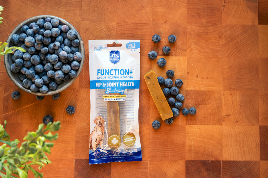 Function+ Hip & Joint