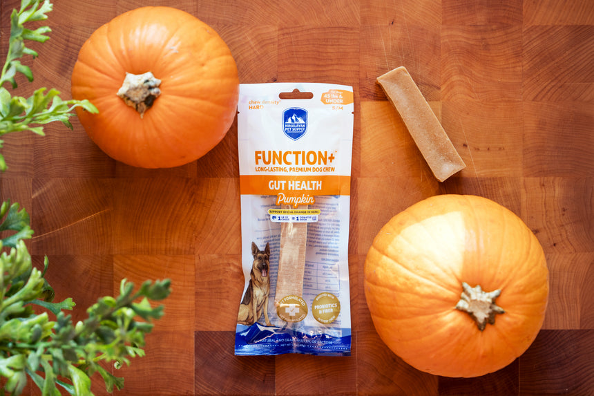 Function+ Gut Health