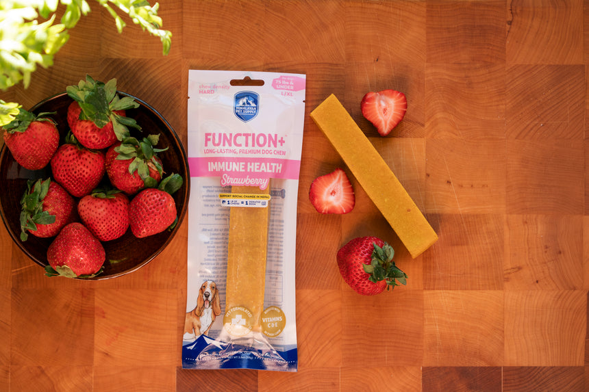 Function+ Immune Health