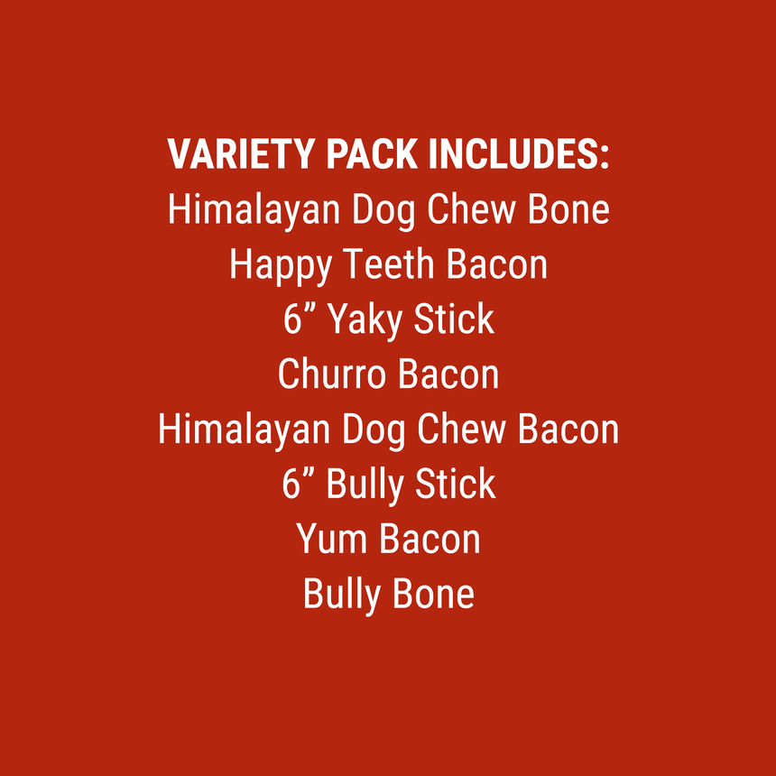 Variety Pack | Piggy Bank