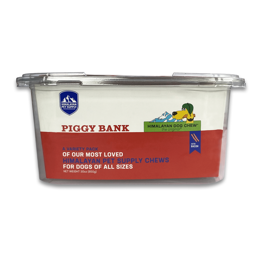 Variety Pack | Piggy Bank